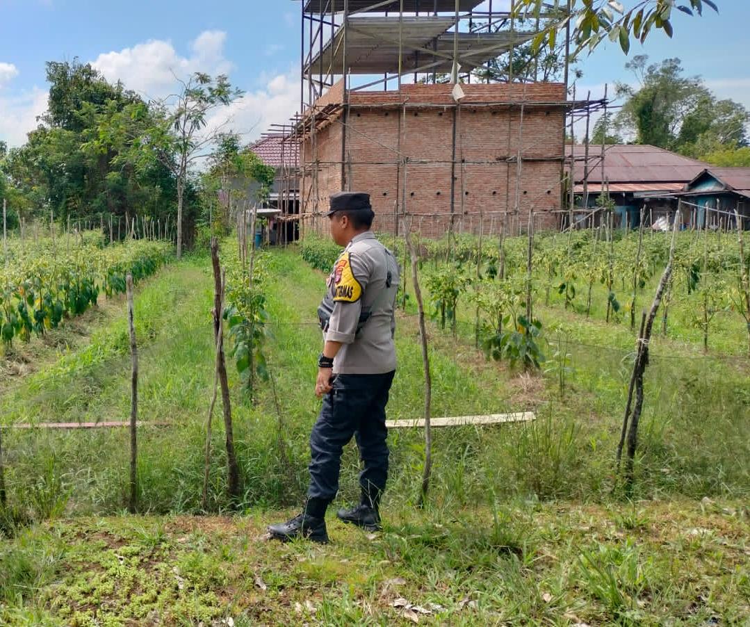 Bhabinkamtibmas Polsek Mendawai cek lokasi pemanfaatan pekarangan rumah warga binaan.