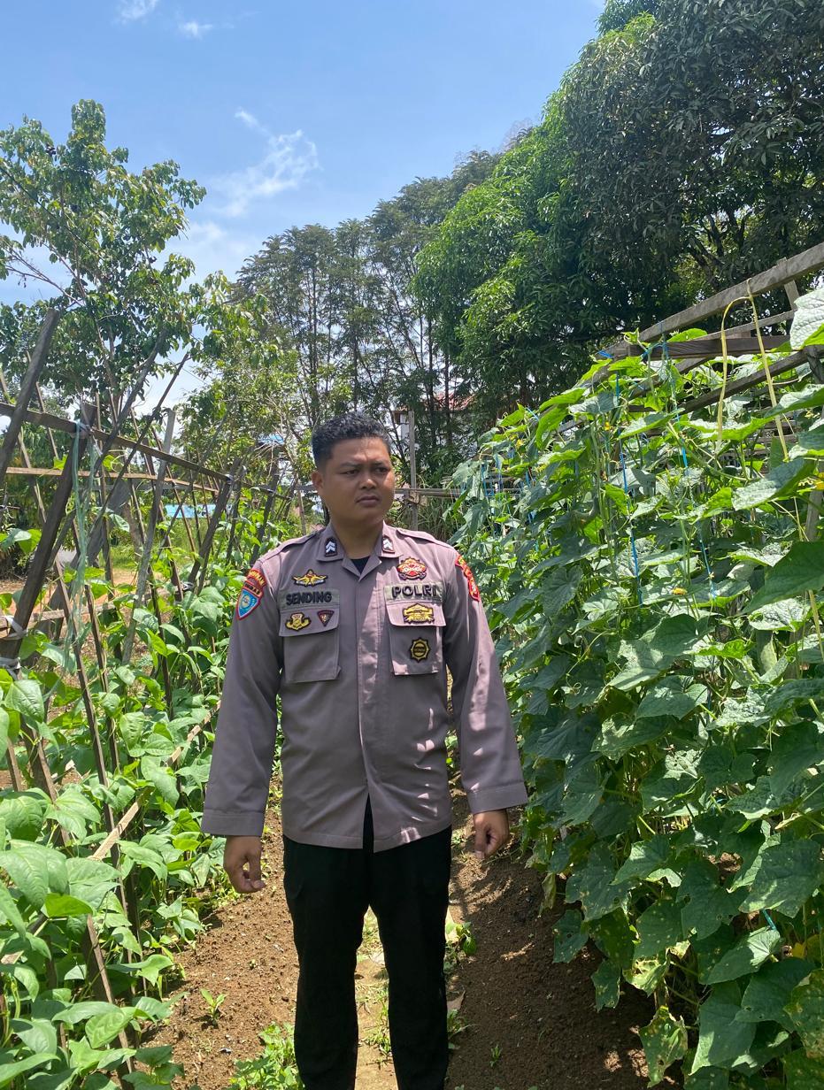 Mendukung Ketahanan Pangan, Personil Polsek sanaman mantikei Cek Lokasi Pemanfaatan Pekarangan Warga.