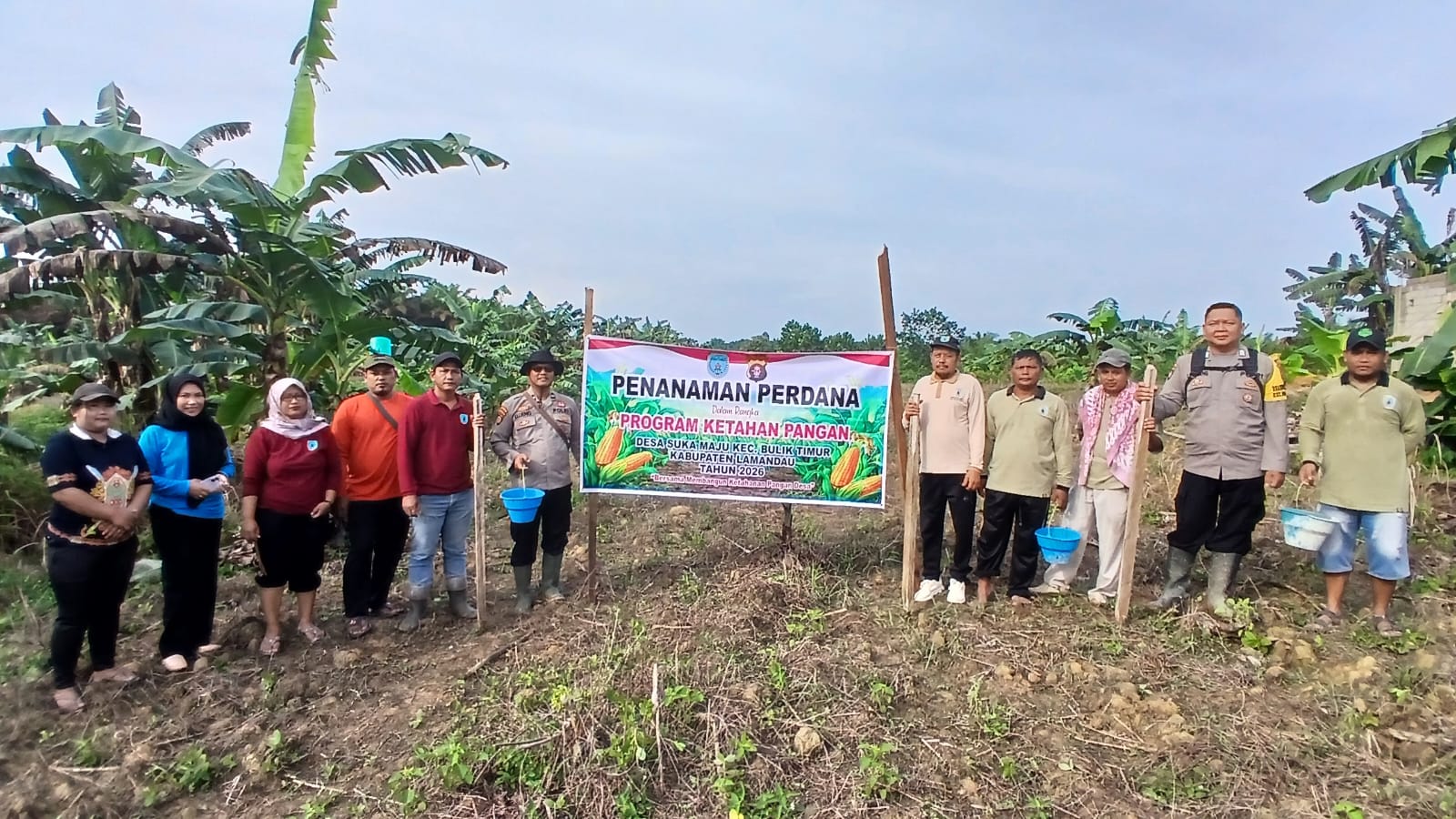 Bhabinkamtibmas Polsek Lamandau Bersama Warga Tanam Jagung Dukung Ketahanan Pangan