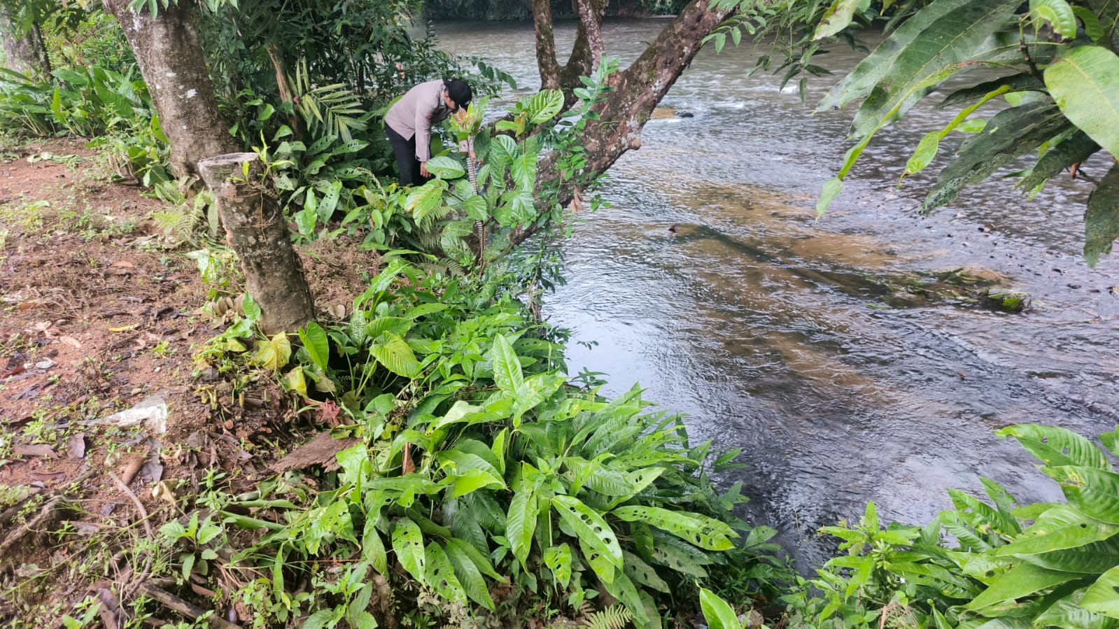 Piket Polsek Delang cek debit air DAS Delang