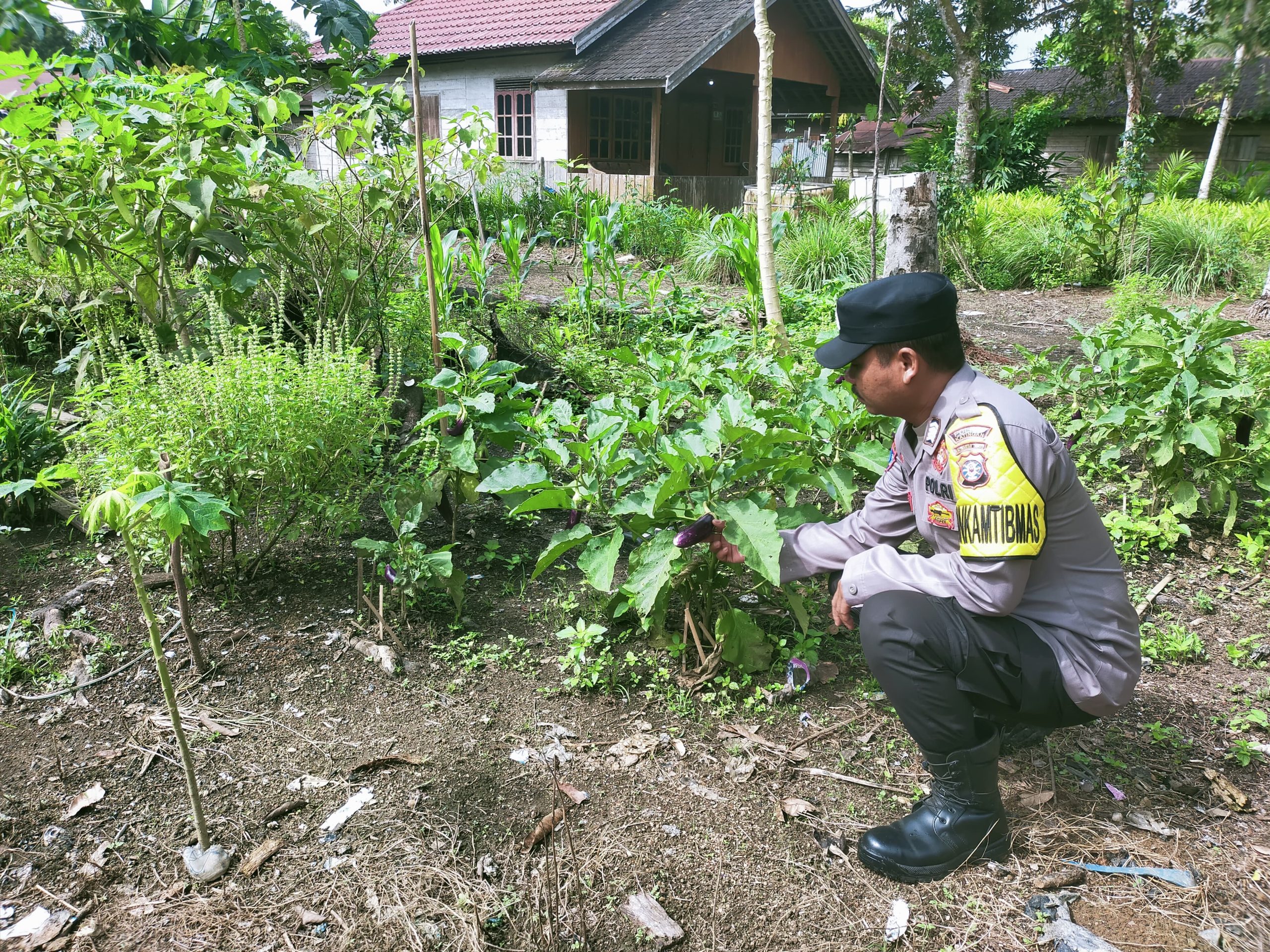 Mendukung Ketahanan Pangan, Personil Polsek sanaman mantikei Cek Lokasi Pemanfaatan Pekarangan Warga.