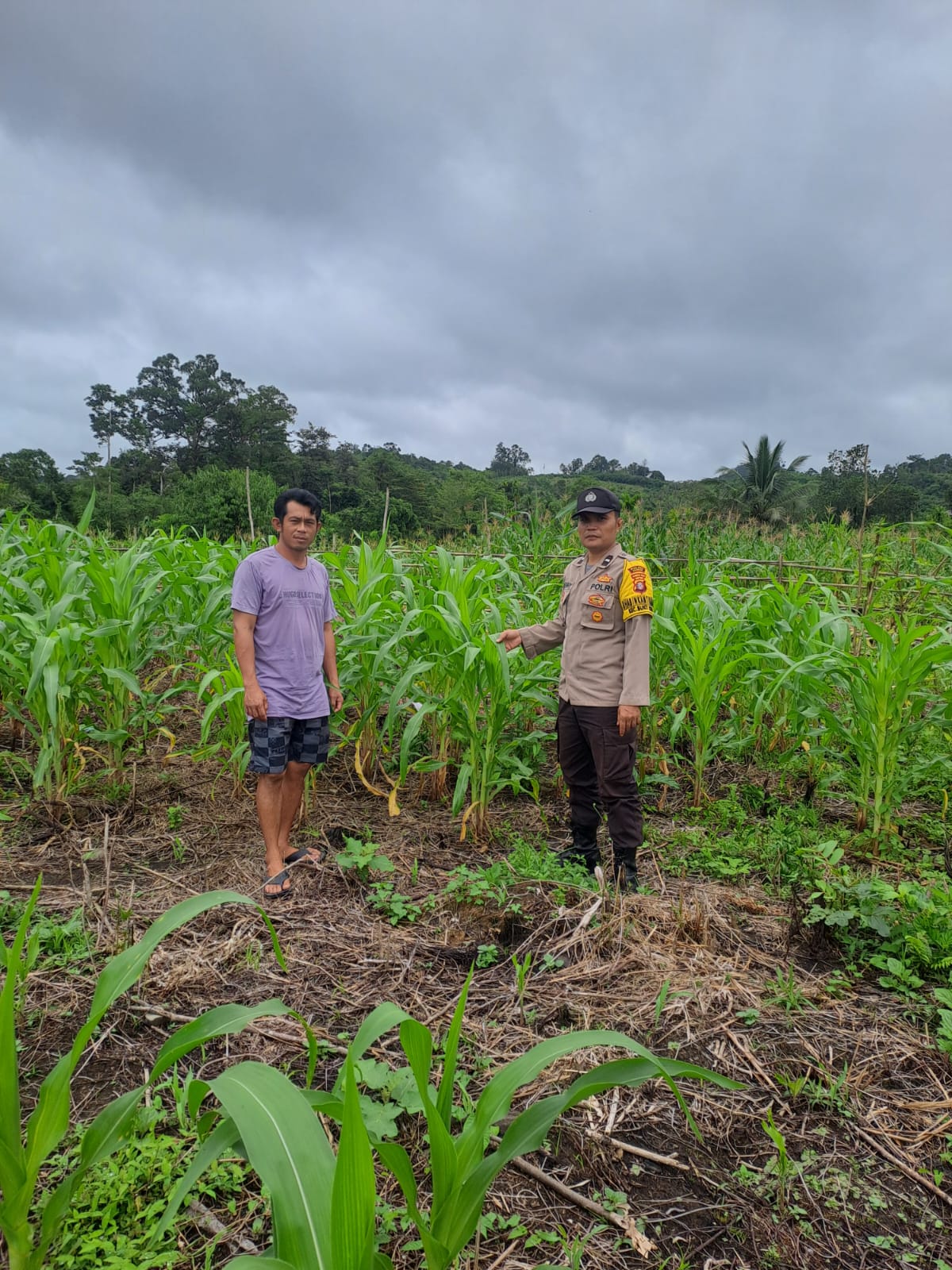 Mendukung Ketahanan Pangan, Personil Polsek Katingan Hulu dan Bukit Raya Cek Lokasi Pemanfaatan Pekarangan Warga.