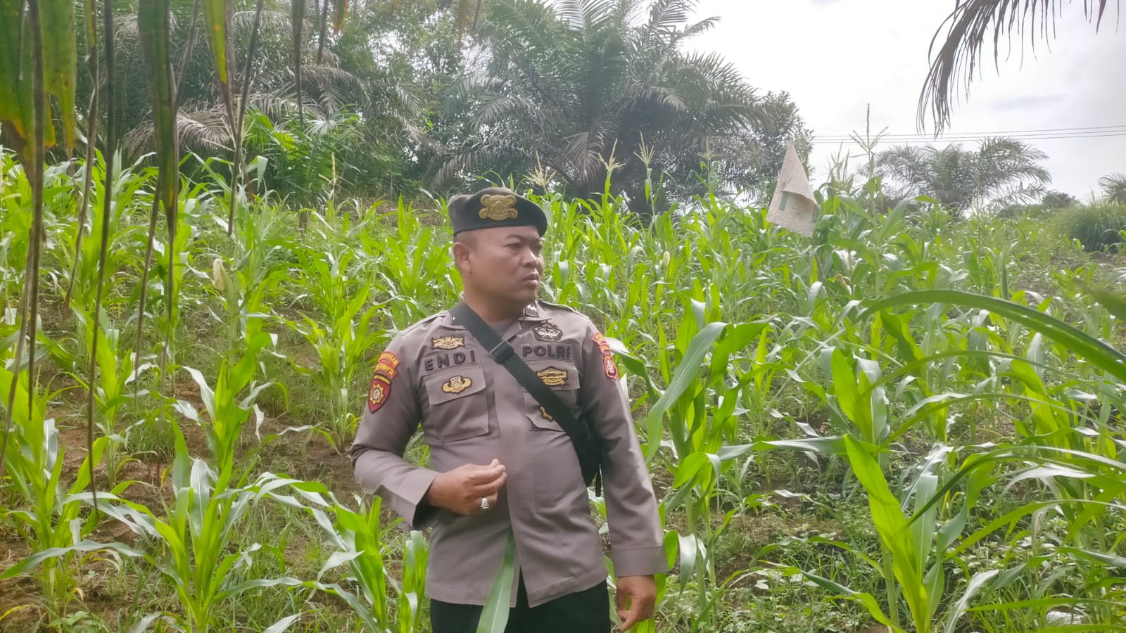 Mendukung Ketahanan Pangan, Personil Polsek sanaman mantikei Cek Lokasi Pemanfaatan Pekarangan Warga.