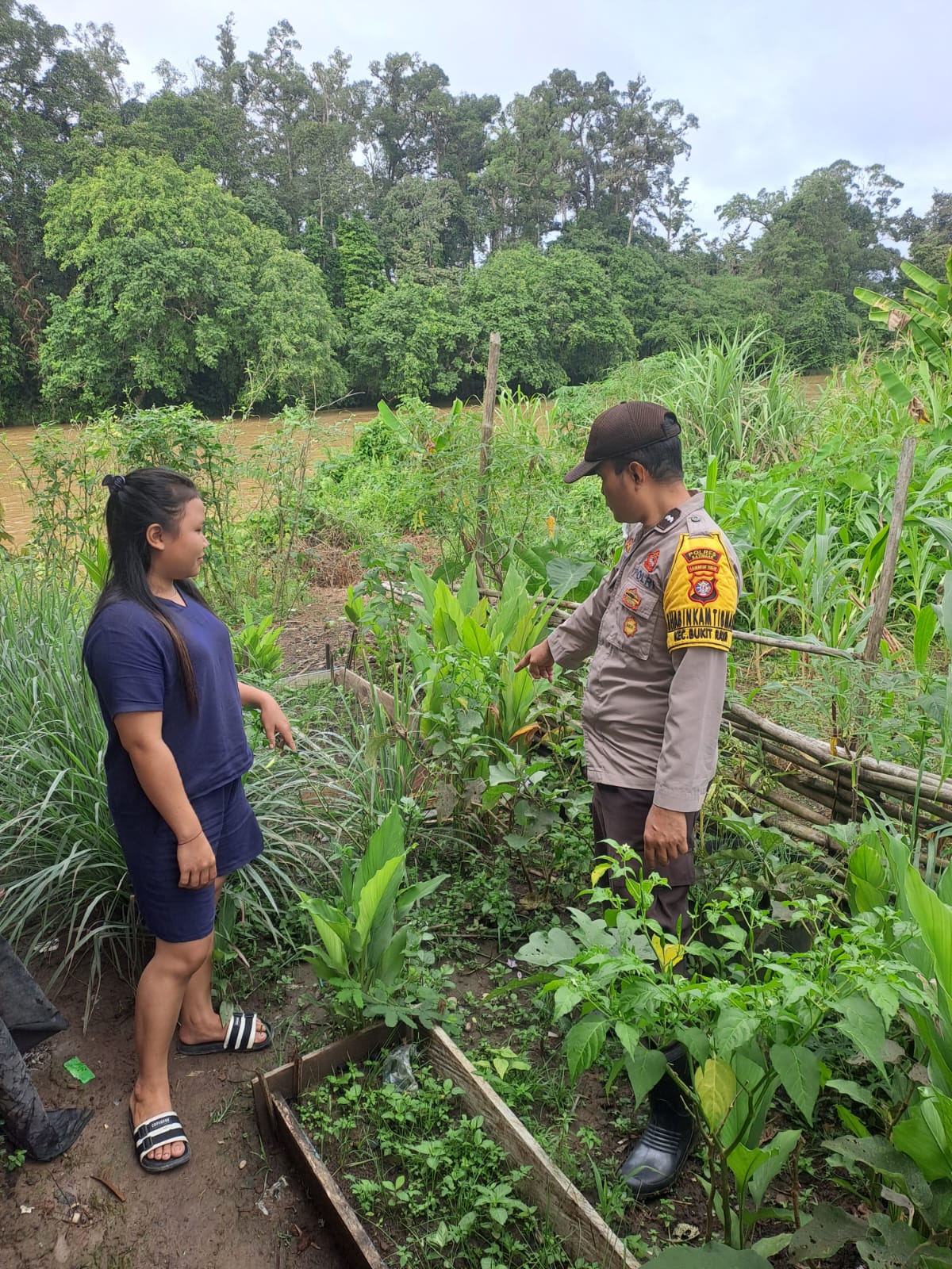 Mendukung Ketahanan Pangan, Personil Polsek Katingan Hulu dan Bukit Raya Cek Lokasi Pemanfaatan Pekarangan Warga.