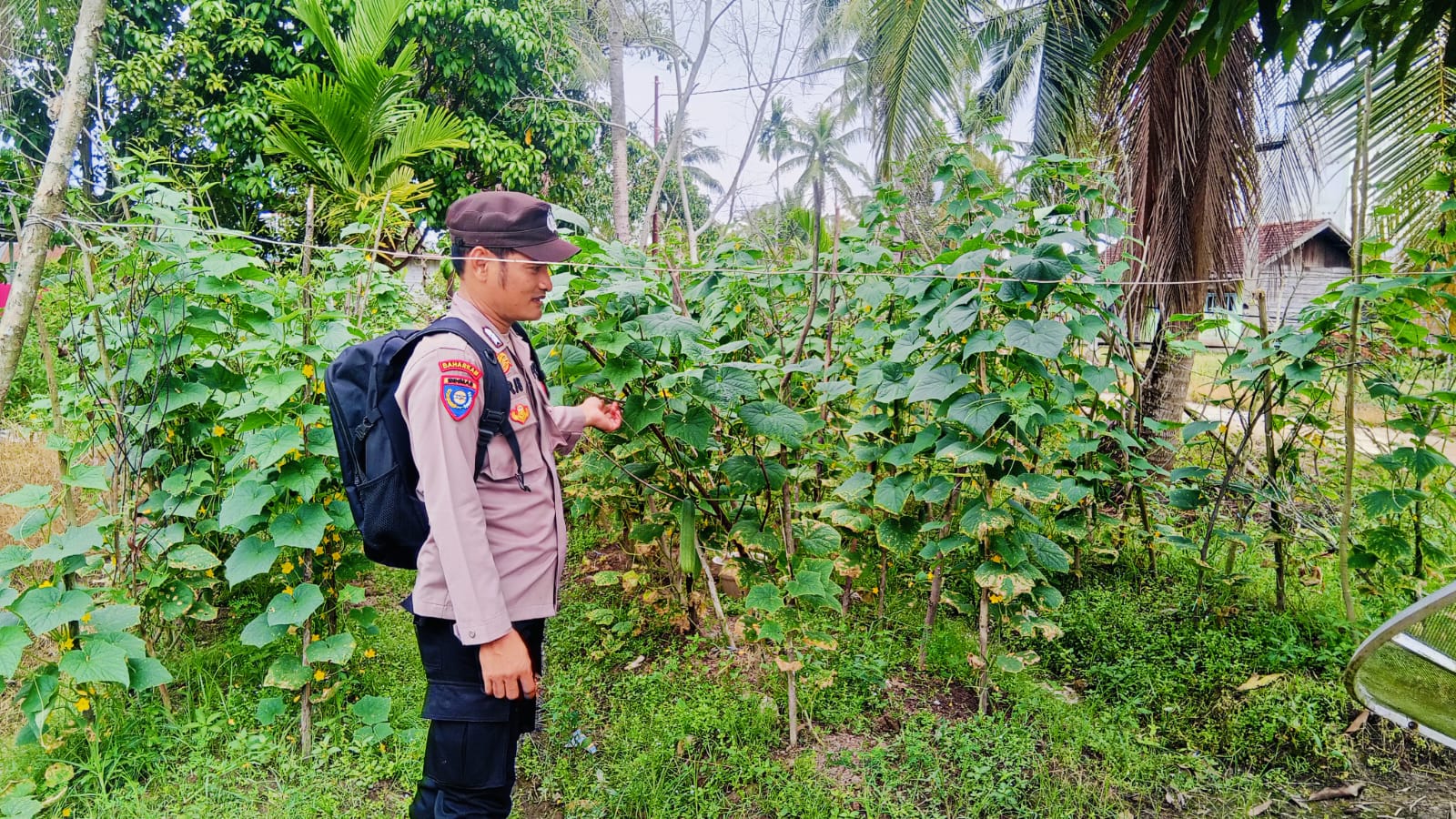 Mendukung ketahanan pangan, Personil Polsek Katingan Kuala cek lokasi pemanfaatan lahan warga berkebun holtikultura.