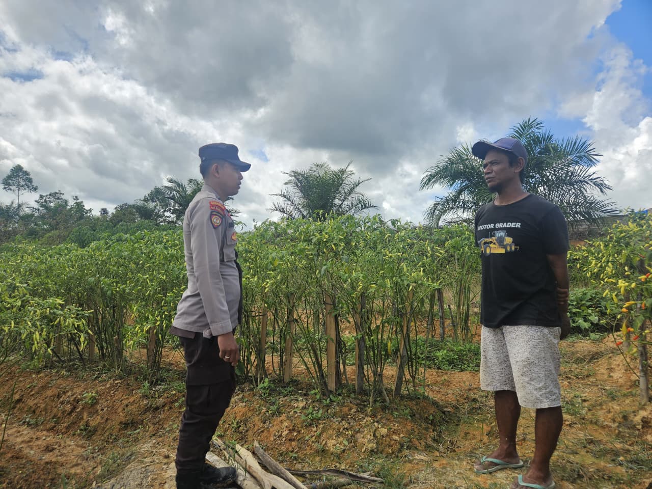 Dukung ketahanan pangan, bhabinkamtibmas laksanakan cooling system di Desa Mekar Mulya