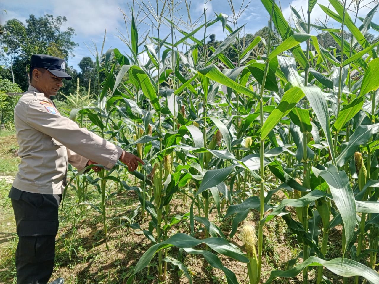 ‎Polsek Tewang Sangalang Garing dan Pulau Malan Imbau Warga Tingkatkan Pemanfaatan Lahan Untuk Ketahanan Pangan