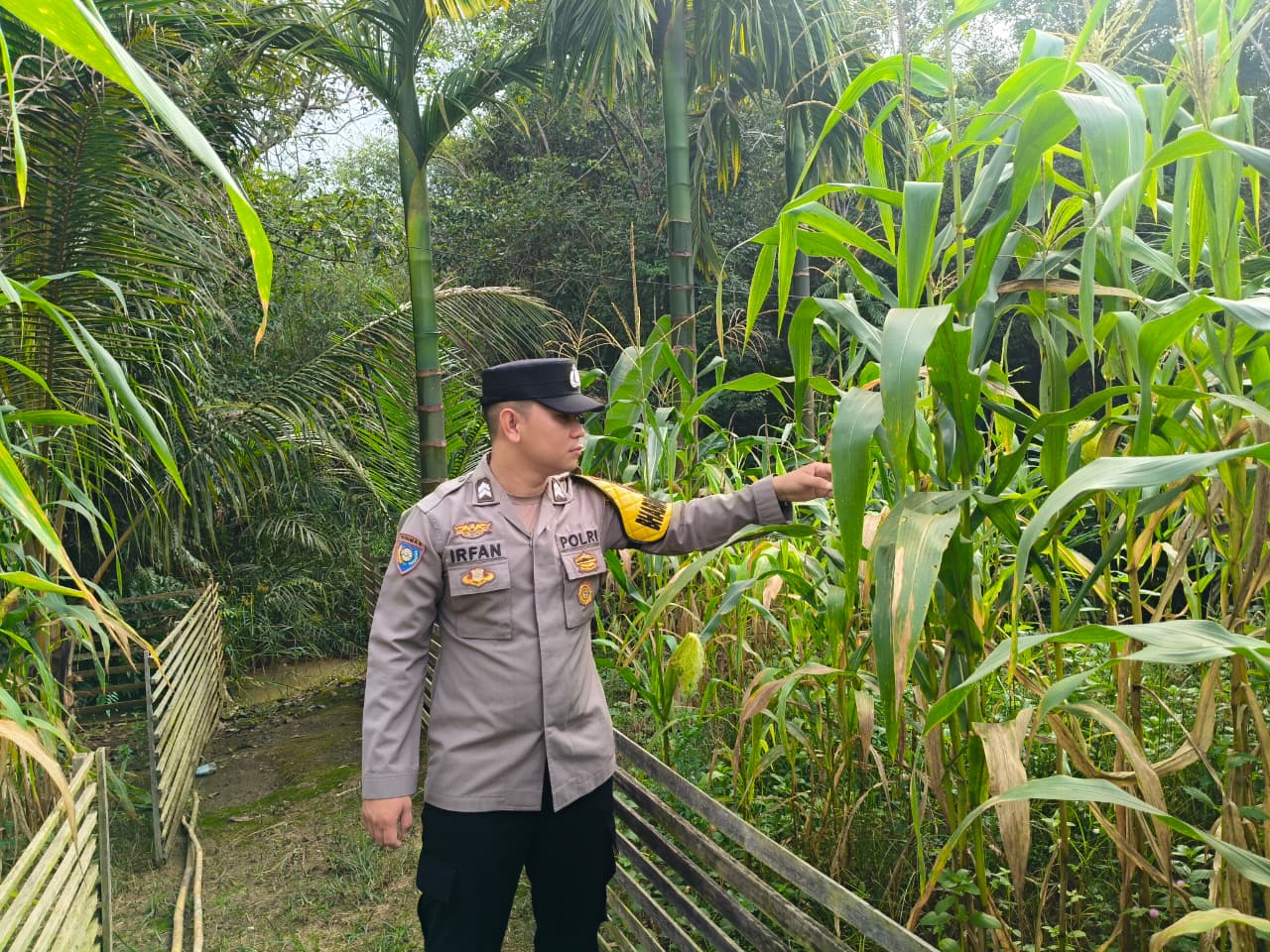 Polsek Marikit Cek Pemanfaatan Lahan Pekarangan Warga untuk Dukung Ketahanan Pangan