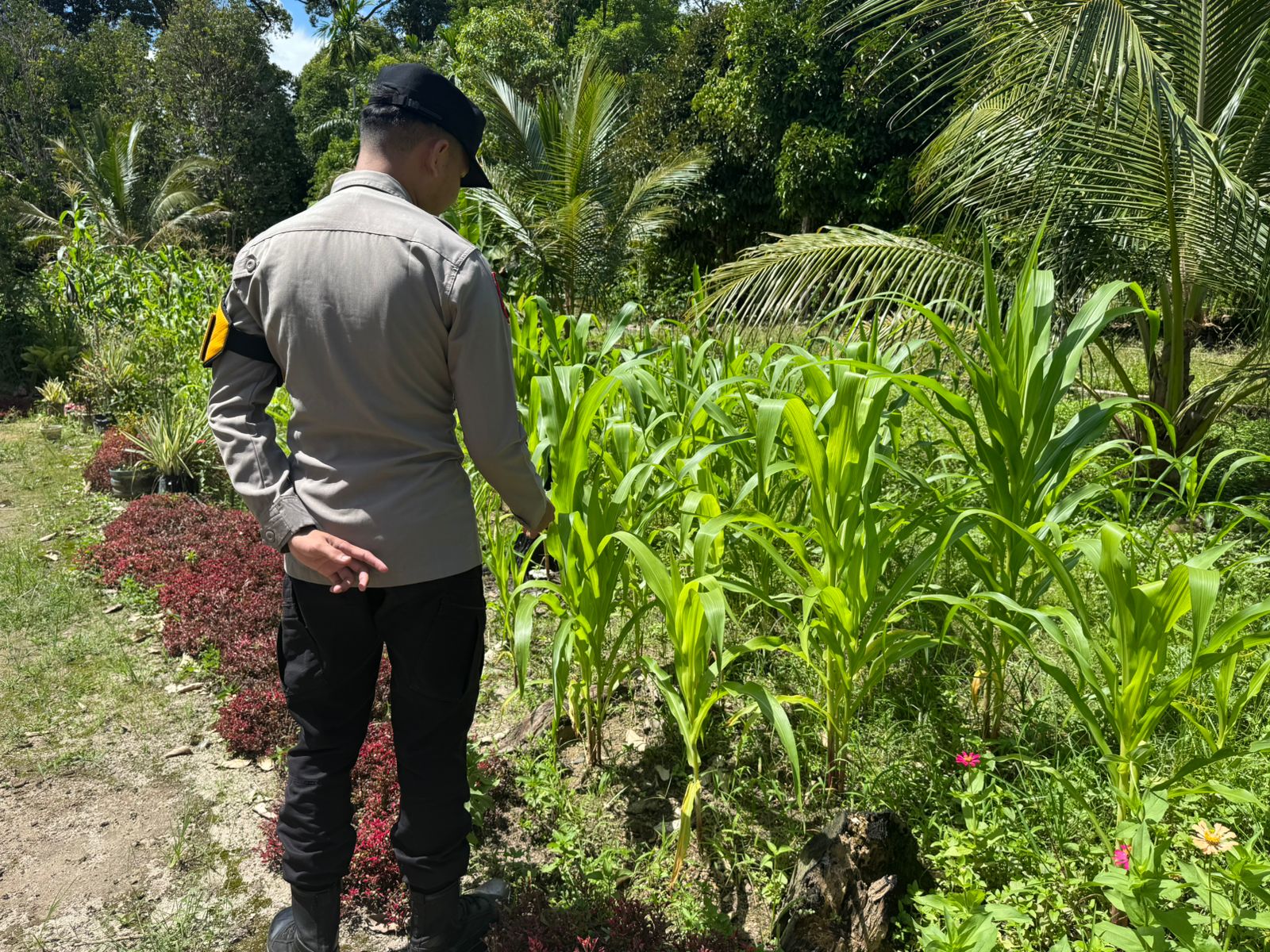 Polsek Tewang Sangalang Garing dan Pulau Malan Imbau Warga Tingkatkan Pemanfaatan Lahan Untuk Ketahanan Pangan