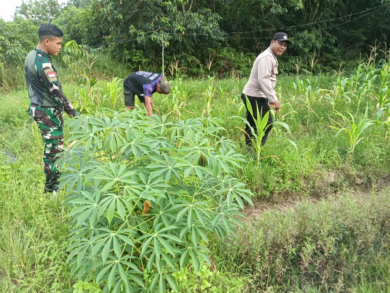 Dalam Rangka Mendukung Program Pemerintah, Bhabinkamtibmas Desa Teluk Sebulu Polsek Mendawai Cek Lokasi Pemanfaatan Lahan Pekarangan Warga