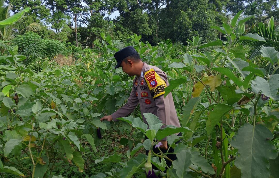 ‎Polsek Tewang Sangalang Garing dan Pulau Malan Imbau Warga Tingkatkan Pemanfaatan Lahan Untuk Ketahanan Pangan