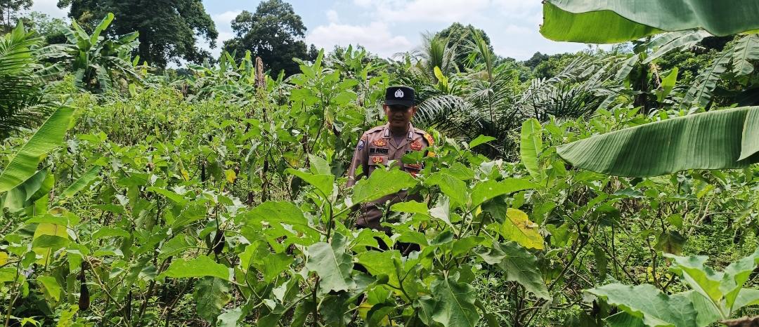 ‎Polsek Tewang Sangalang Garing dan Pulau Malan Imbau Warga Tingkatkan Pemanfaatan Lahan Untuk Ketahanan Pangan