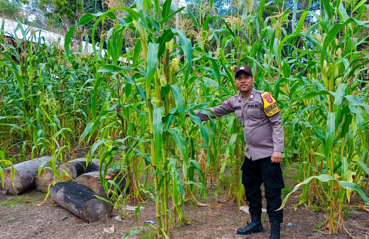 Mendukung Ketahanan Pangan, Personil Polsek Katingan Hulu Cek Lokasi Pemanfaatan Pekarangan Warga.