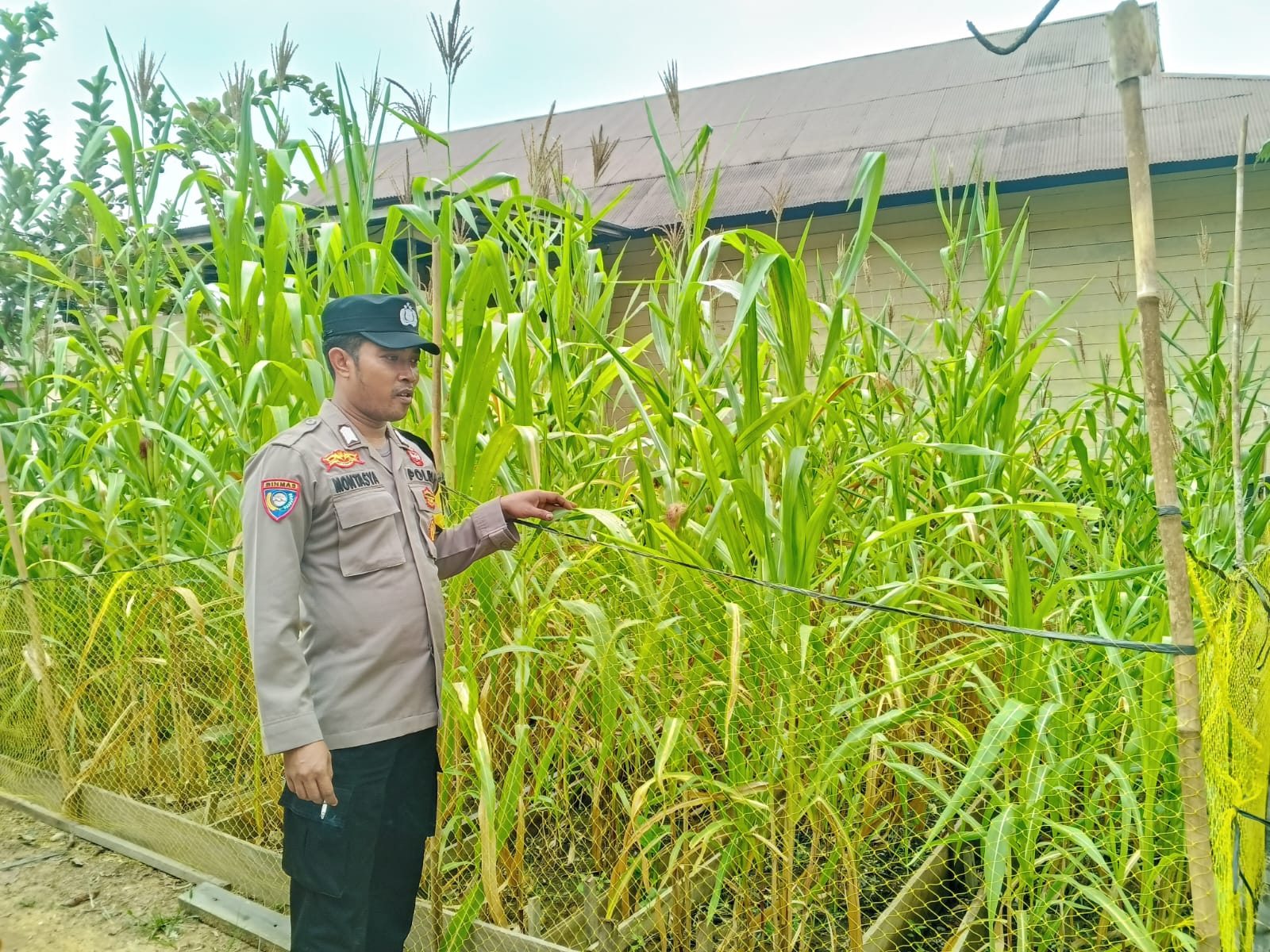‎Mendukung Ketahanan Pangan, Personil Polsek Katingan Hulu Cek Lokasi Pemanfaatan Pekarangan Warga.