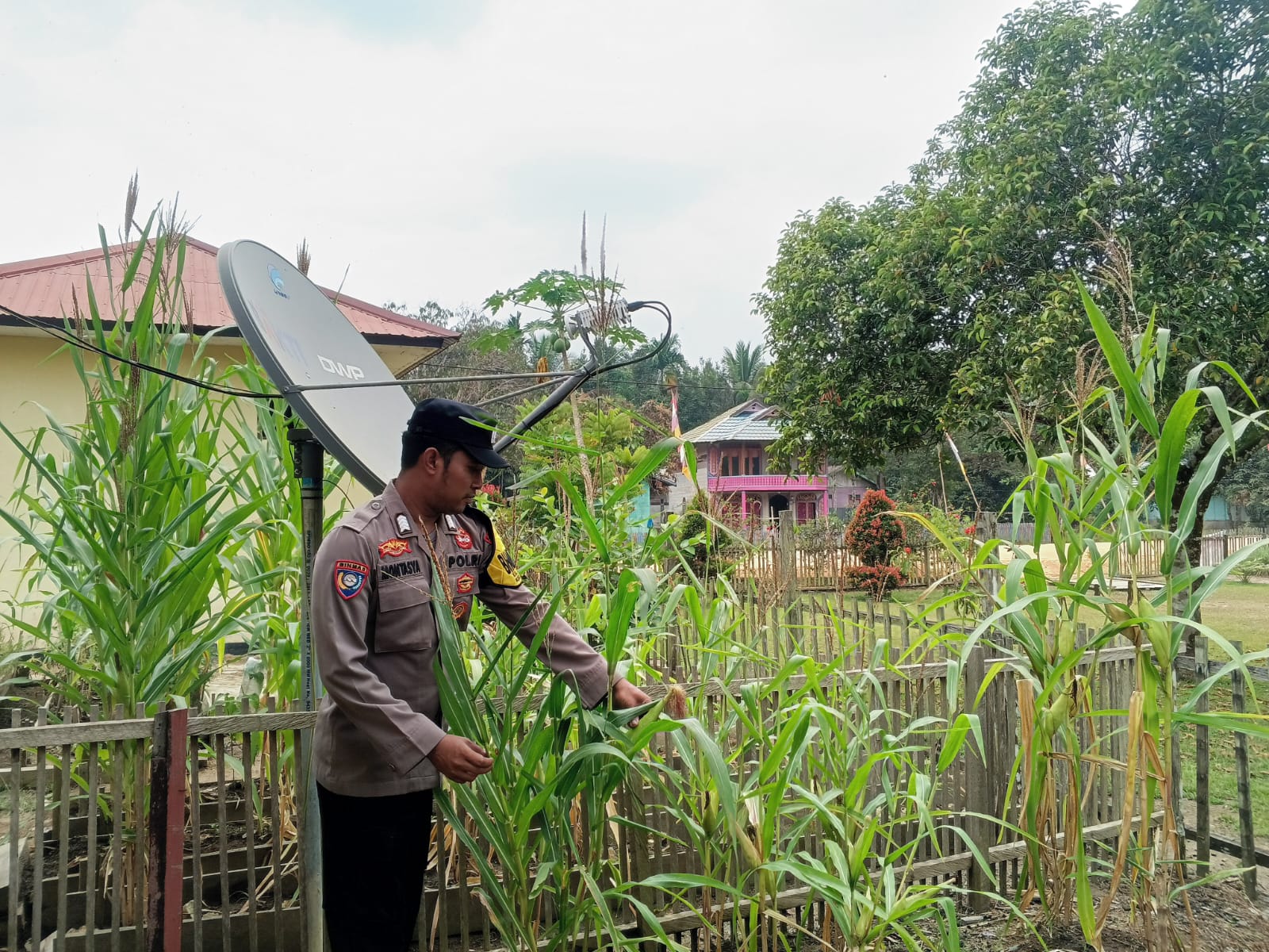 Mendukung Ketahanan Pangan, Personil Polsek Katingan Hulu Cek Lokasi Pemanfaatan Pekarangan Warga.