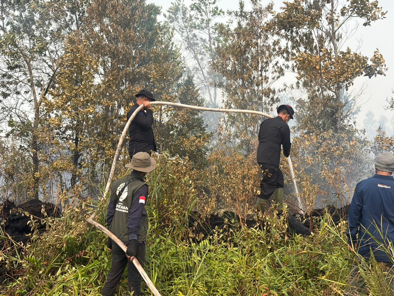 Dansatbrimob Polda Kalteng Turun Langsung Bantu Padamkan Karhutla di Sebangau