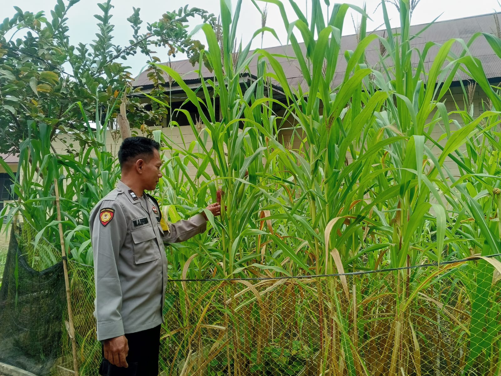 ‎Mendukung Ketahanan Pangan, Personil Polsek Katingan Hulu  Cek Lokasi Pemanfaatan Pekarangan Warga.