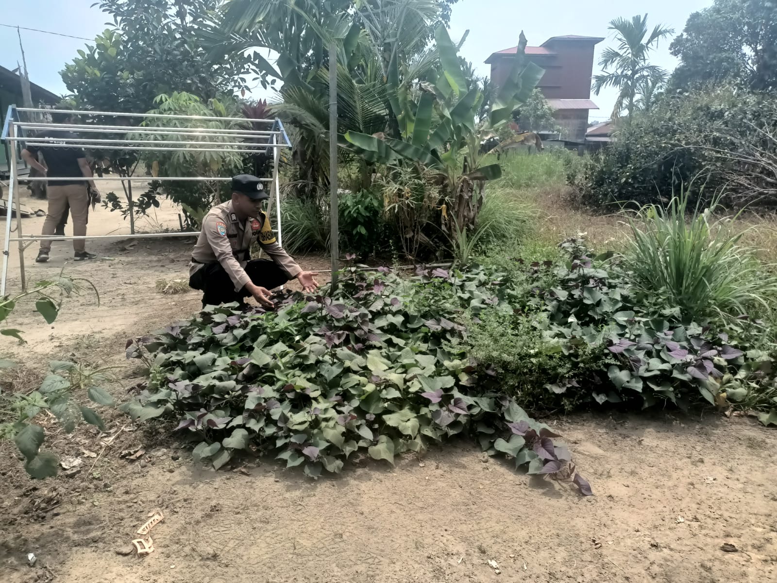 Polsek Marikit Gerakkan Optimisme Pangan dari Lahan Masyarakat