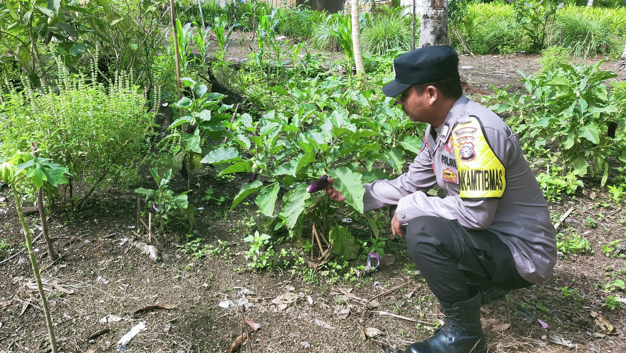 Polsek Tewang Sangalang Garing dan Pulau Malan Imbau Warga Tingkatkan Pemanfaatan Lahan Untuk Ketahanan Pangan