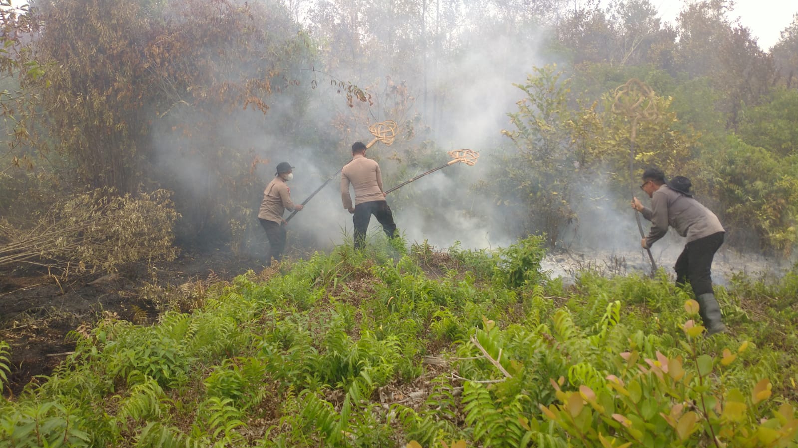 Satbrimob Polda Kalteng Terus Bergerak, Padamkan dan Dinginkan Lahan Gambut di Palangka Raya