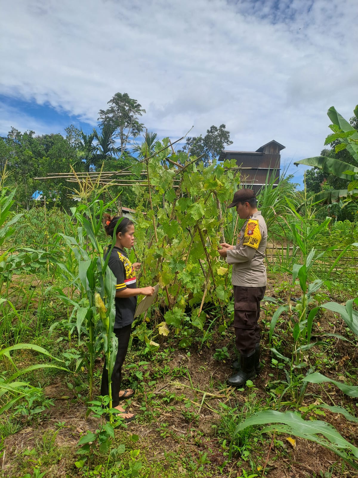 Mendukung Ketahanan Pangan, Personil Polsek Katingan Hulu dan Bukit Raya Cek Lokasi Pemanfaatan Pekarangan Warga.