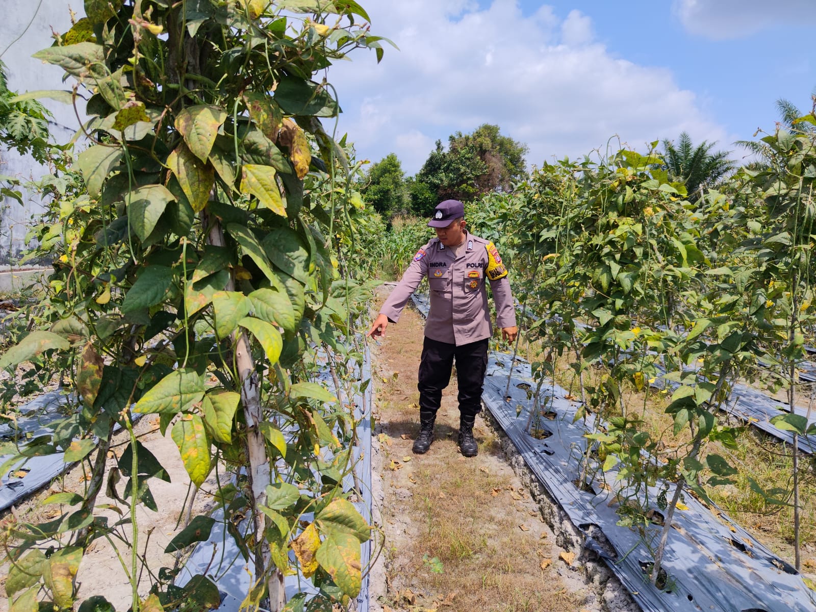 Personel Polsek Tewang Sangalang Garing dan Pulau Malan melaksanakan pengecekan lokasi pemanfaatan lahan pekarangan warga Binaannya