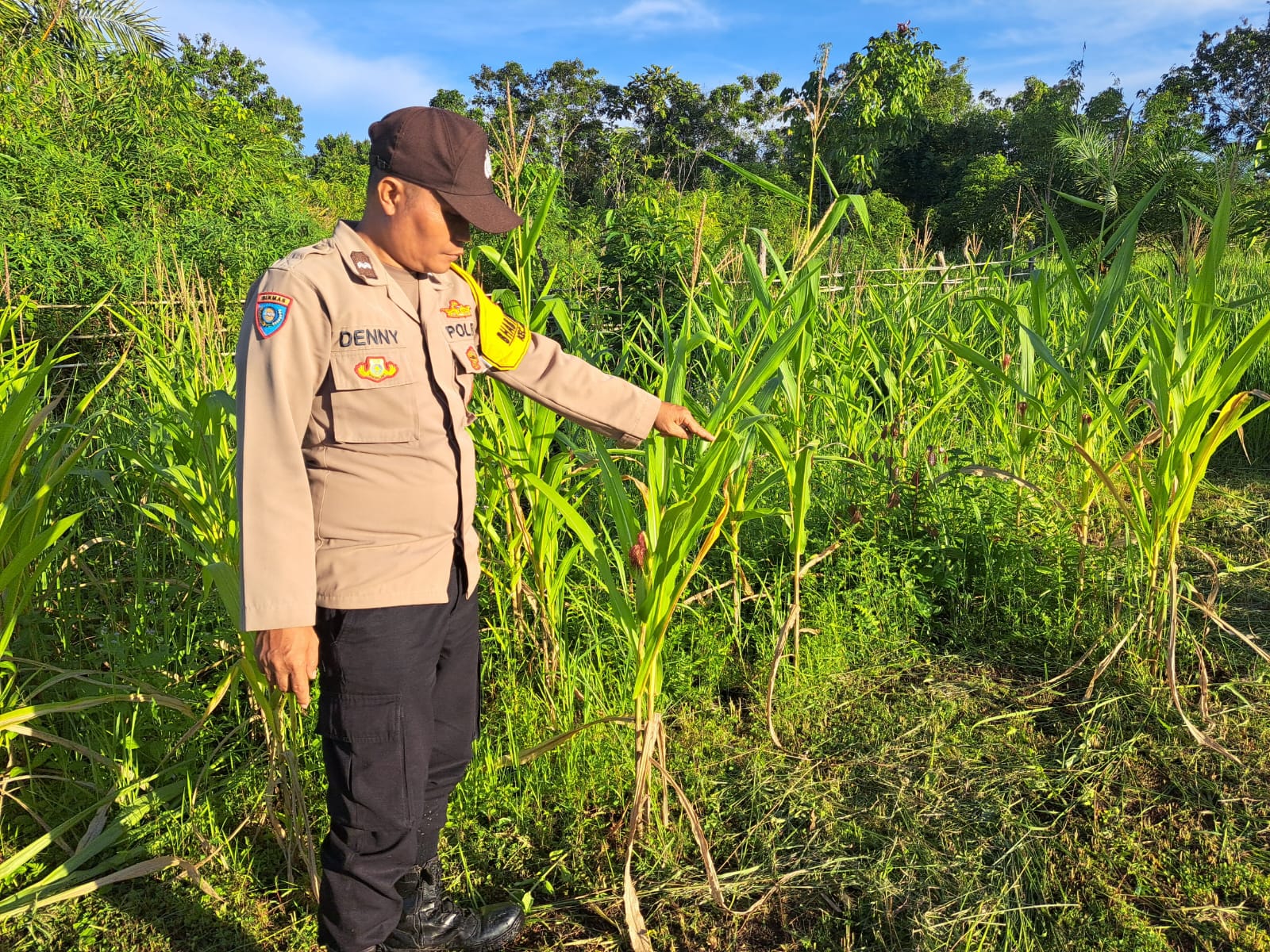 Mendukung Ketahanan Pangan, Personil Polsek Katingan Hulu dan Bukit Raya Cek Lokasi Pemanfaatan Pekarangan Warga.