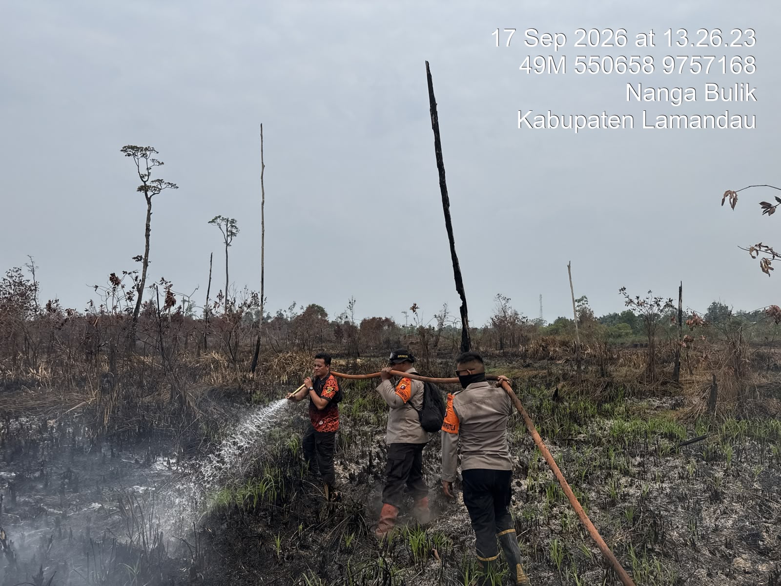 Satbrimob Polda Kalteng Bersama Tim Gabungan Terus Padamkan Karhutla di Lamandau