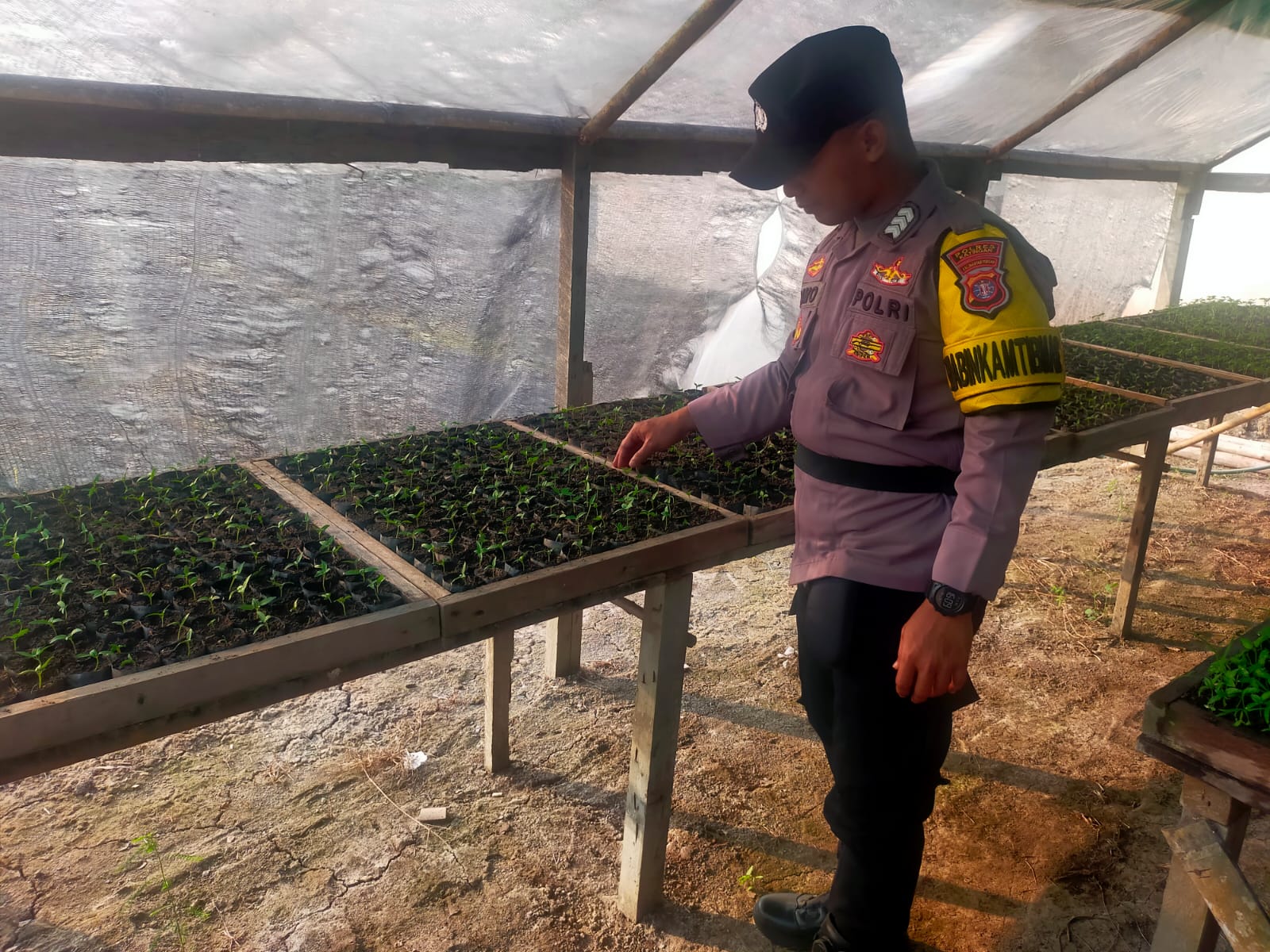 Bhabinkamtibmas Polsek Mendawai cek lokasi pemanfaatan pekarangan rumah warga binaan.