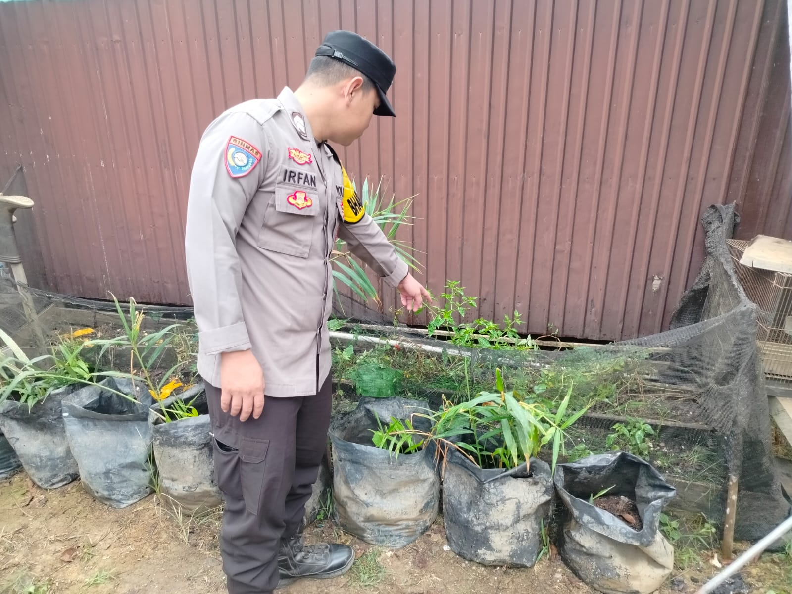 POLSEK MARIKIT DUKUNG KEMANDIRIAN PANGAN DESA