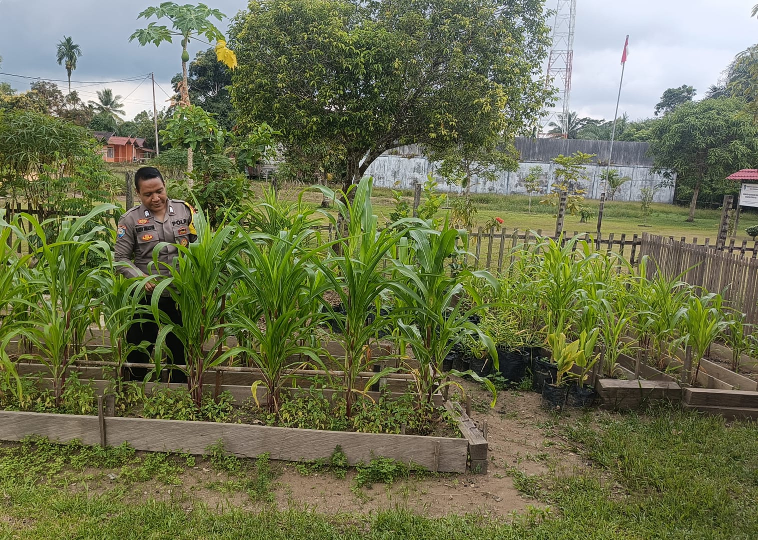 ‎Mendukung Ketahanan Pangan, Personil Polsek Katingan Hulu Cek Lokasi Pemanfaatan Pekarangan Warga.