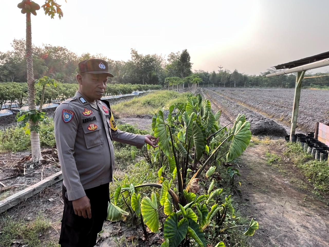 Dalam Rangka Mendukung Program Pemerintah, Bhabinkamtibmas Desa Tewang Kampung Polsek Mendawai Cek Lokasi Pemanfaatan Lahan Pekarangan Warga