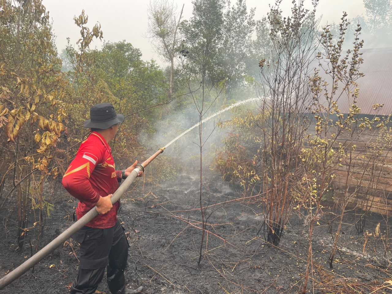 Api Kembali Berkobar , Piket Jaga SPN Polda Kalteng Gerak Cepat Padamkan Kebakaran Lahan.